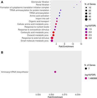 Transcriptomic changes underlying glucocorticoid-induced suppression of milk production by dairy cows